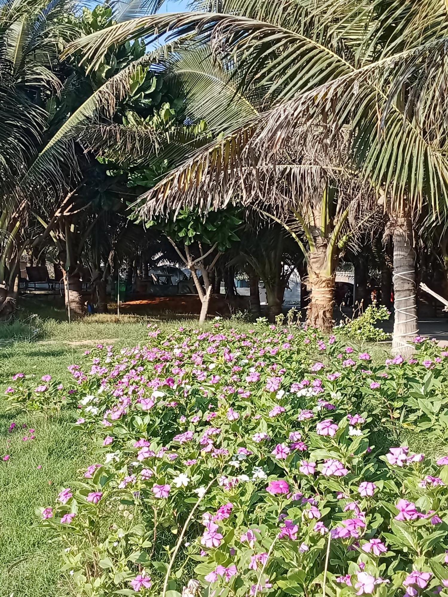 Bien Ngoc Homstay 潘切 外观 照片
